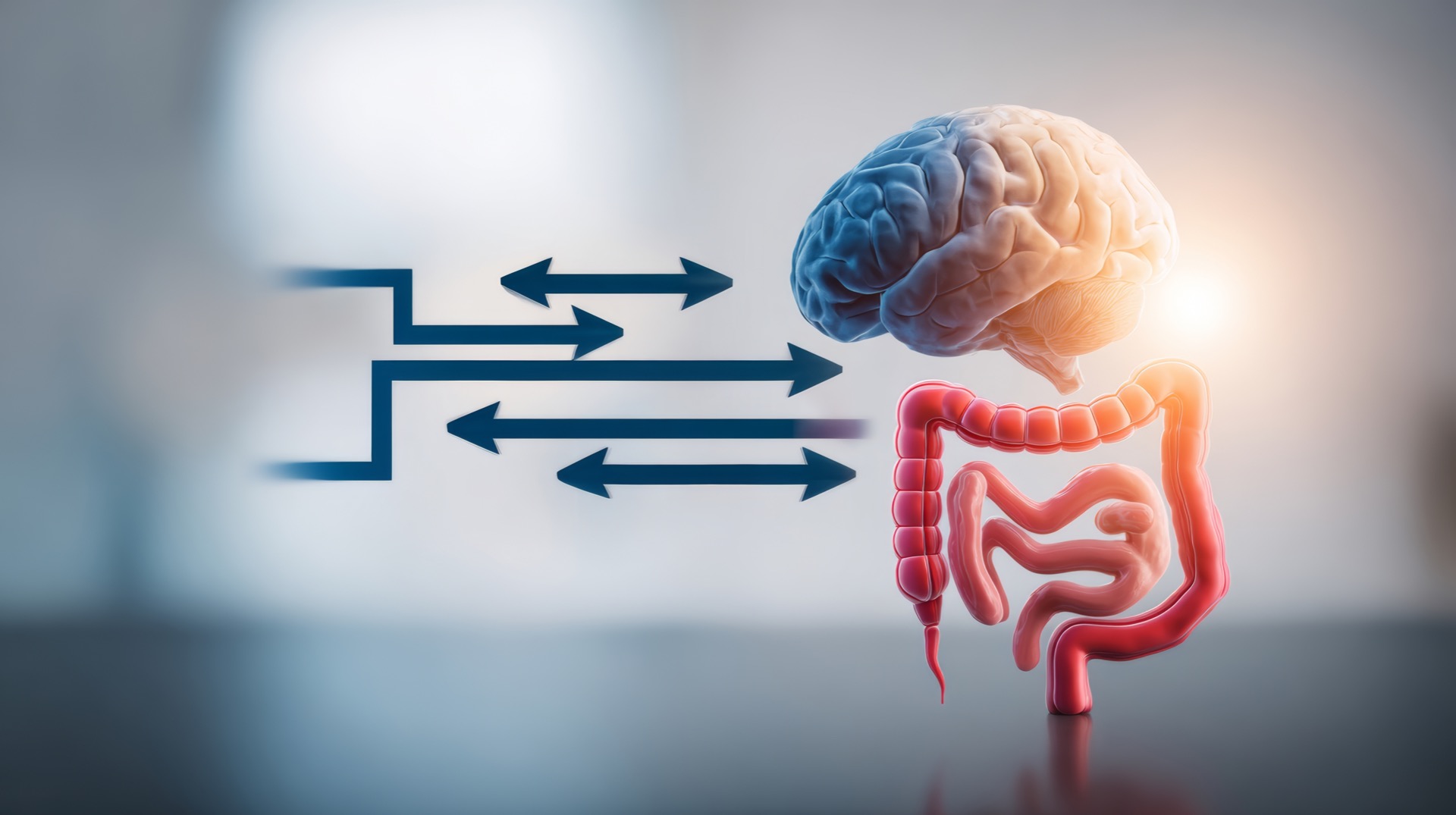 Hjernen og tarmen kommuniserer kontinuerlig gjennom tarm–hjerne-aksen – et samspill som blant annet involverer nervesystemet, hormoner, immunsystemet og tarmmikrobiomet.